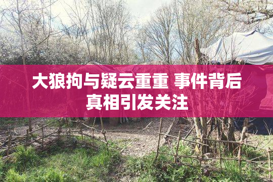 大狼拘与疑云重重 事件背后真相引发关注