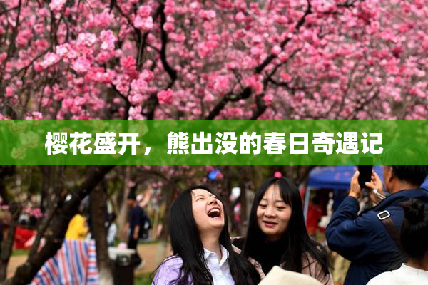 樱花盛开，熊出没的春日奇遇记