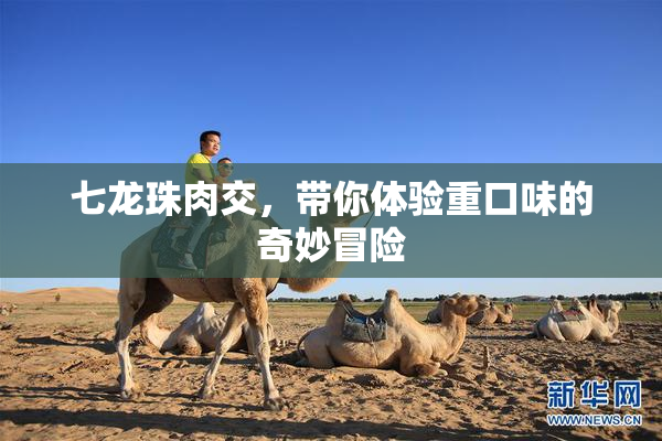 七龙珠肉交，带你体验重口味的奇妙冒险