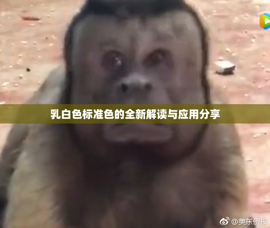 乳白色标准色的全新解读与应用分享
