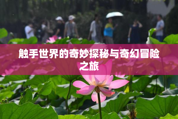触手世界的奇妙探秘与奇幻冒险之旅