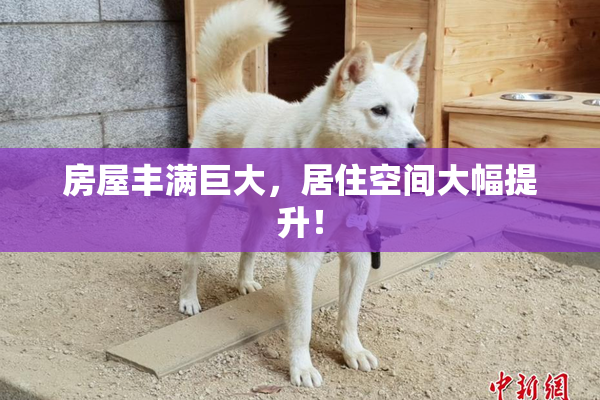房屋丰满巨大，居住空间大幅提升！