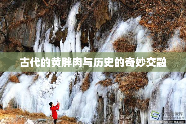 古代的黄胖肉与历史的奇妙交融