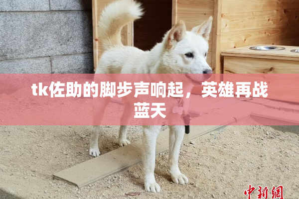 tk佐助的脚步声响起，英雄再战蓝天