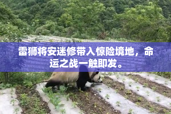 雷狮将安迷修带入惊险境地，命运之战一触即发。
