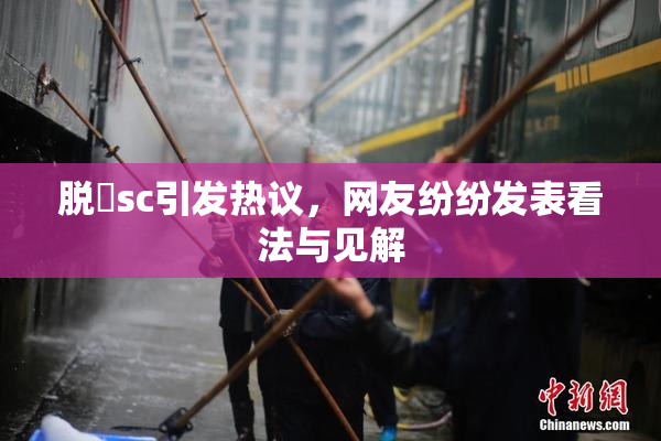 脱糞sc引发热议，网友纷纷发表看法与见解