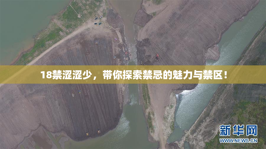 18禁涩涩少，带你探索禁忌的魅力与禁区！
