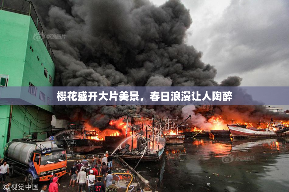 樱花盛开大片美景，春日浪漫让人陶醉