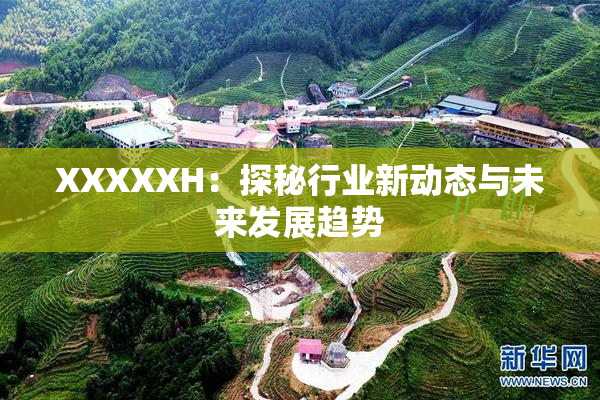 XXXXXH：探秘行业新动态与未来发展趋势