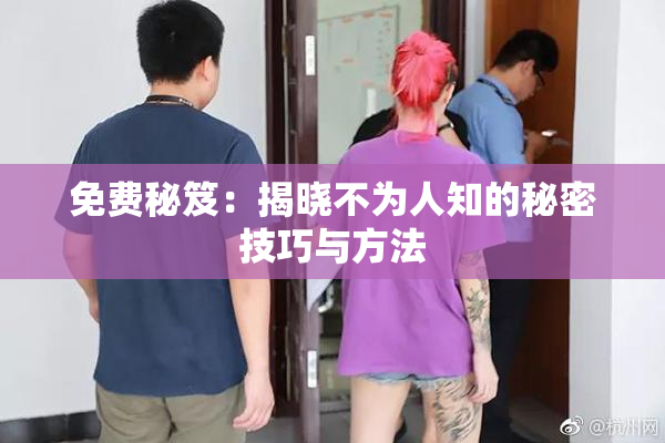 免费秘笈：揭晓不为人知的秘密技巧与方法