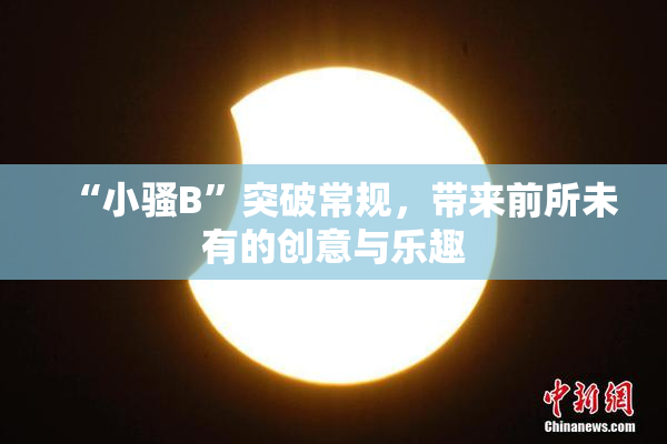 “小骚B”突破常规，带来前所未有的创意与乐趣