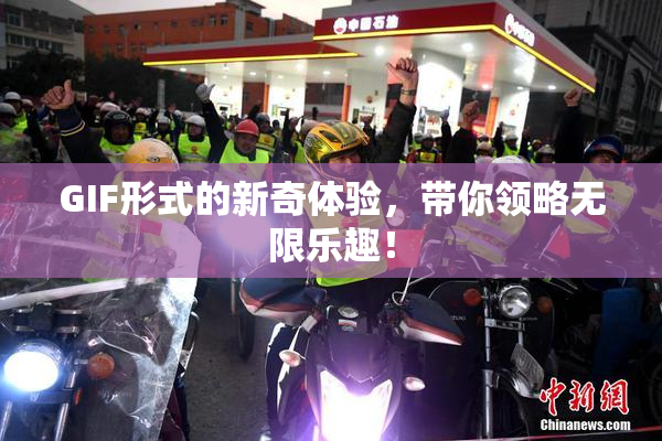 GIF形式的新奇体验，带你领略无限乐趣！