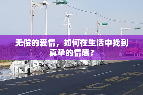 无偿的爱情，如何在生活中找到真挚的情感？