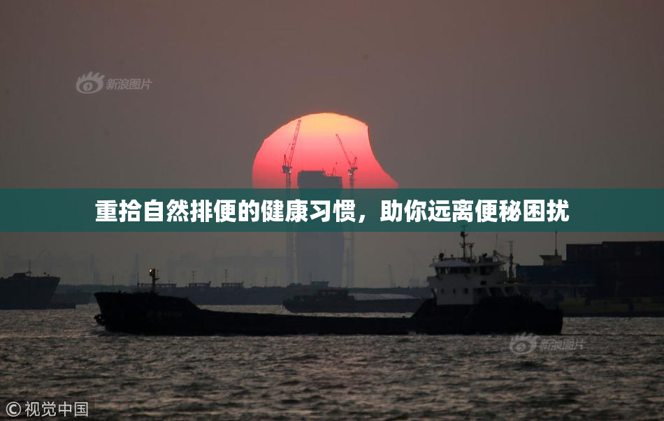 重拾自然排便的健康习惯，助你远离便秘困扰