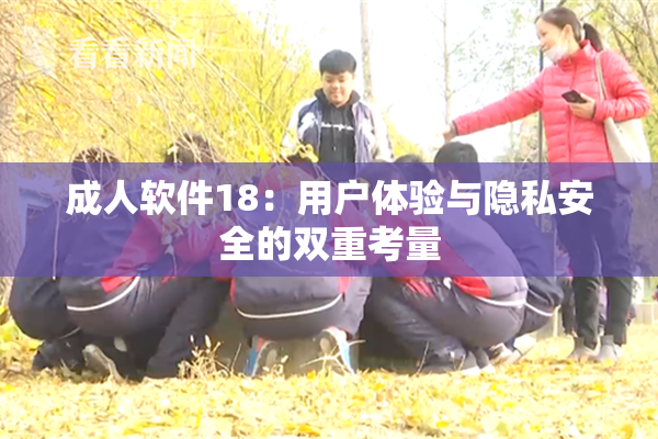 成人软件18：用户体验与隐私安全的双重考量