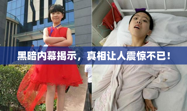 黑暗内幕揭示，真相让人震惊不已！