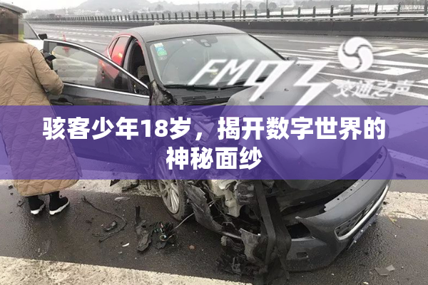 骇客少年18岁，揭开数字世界的神秘面纱