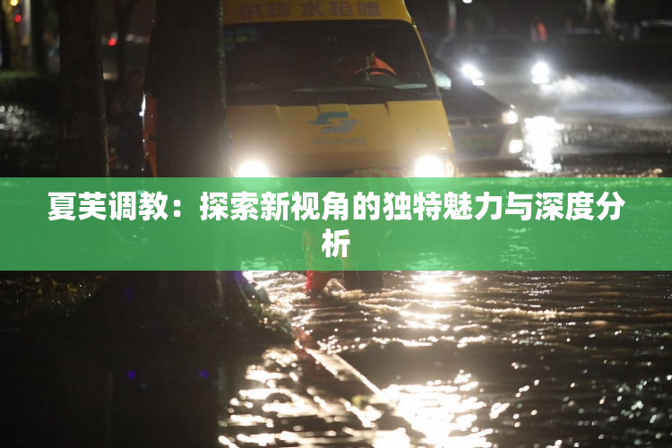夏芙调教：探索新视角的独特魅力与深度分析