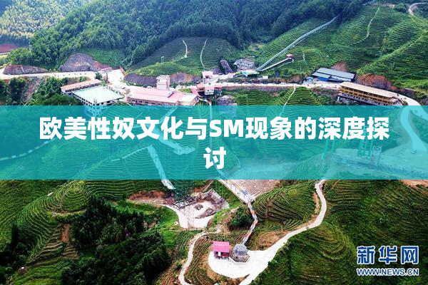 欧美性奴文化与SM现象的深度探讨