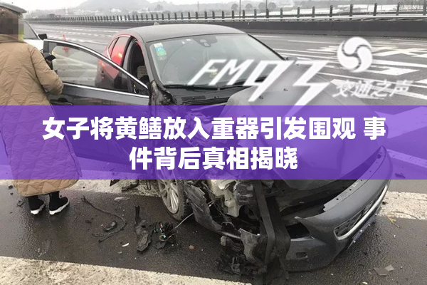 女子将黄鳝放入重器引发围观 事件背后真相揭晓