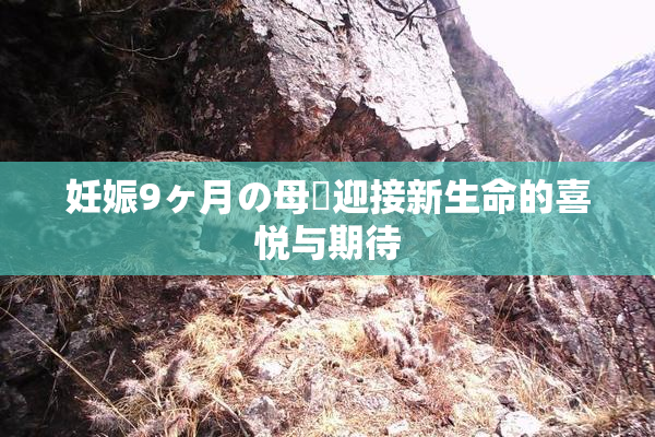 妊娠9ヶ月の母親迎接新生命的喜悦与期待