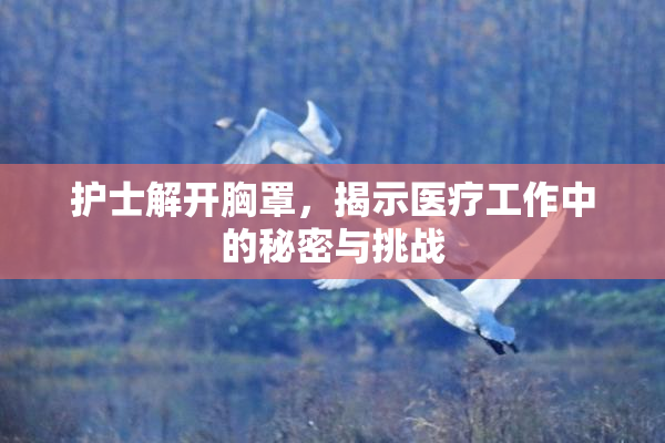 护士解开胸罩，揭示医疗工作中的秘密与挑战