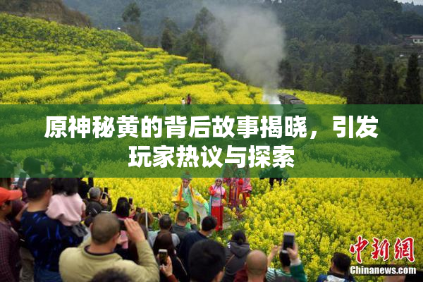 原神秘黄的背后故事揭晓，引发玩家热议与探索
