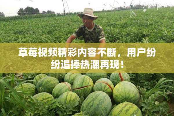 草莓视频精彩内容不断，用户纷纷追捧热潮再现！