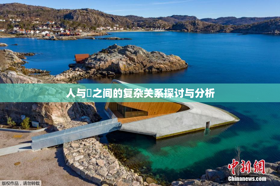 人与嘼之间的复杂关系探讨与分析