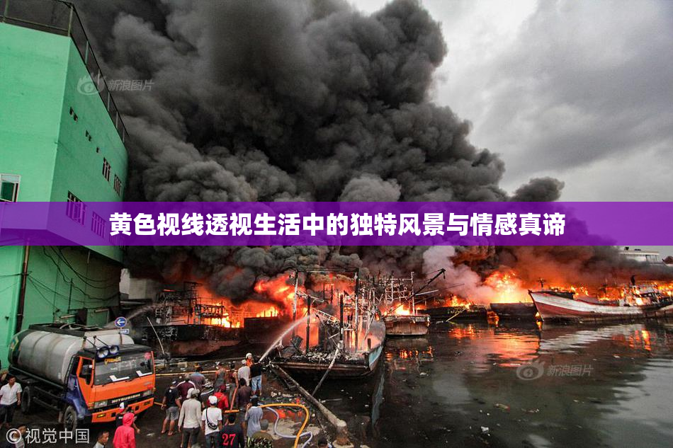 黄色视线透视生活中的独特风景与情感真谛