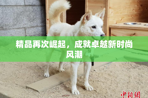 精品再次崛起，成就卓越新时尚风潮