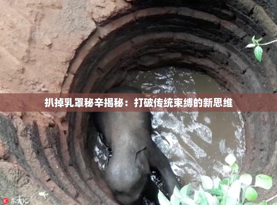 扒掉乳罩秘辛揭秘：打破传统束缚的新思维