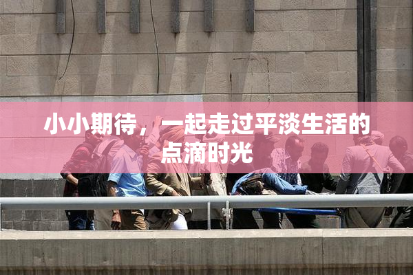 小小期待，一起走过平淡生活的点滴时光