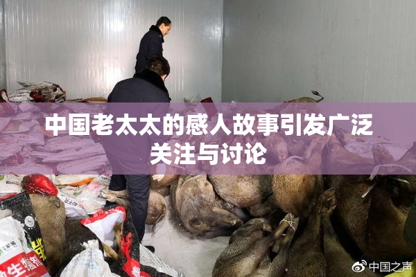 中国老太太的感人故事引发广泛关注与讨论