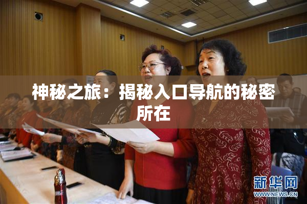 神秘之旅：揭秘入口导航的秘密所在