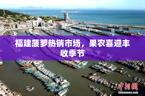 福建菠萝热销市场，果农喜迎丰收季节