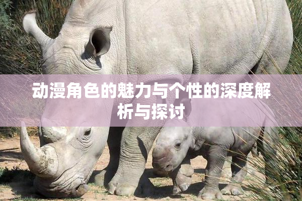 动漫角色的魅力与个性的深度解析与探讨