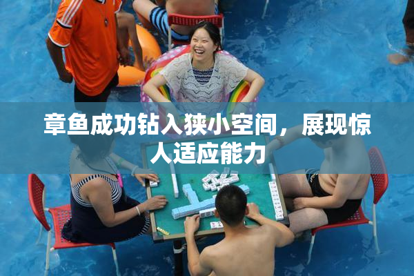 章鱼成功钻入狭小空间，展现惊人适应能力
