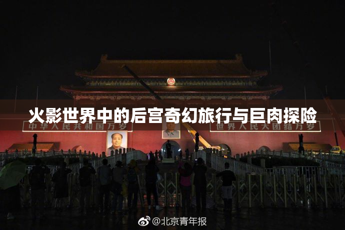 火影世界中的后宫奇幻旅行与巨肉探险