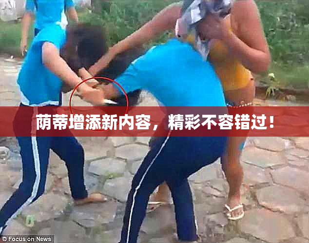 荫蒂增添新内容，精彩不容错过！