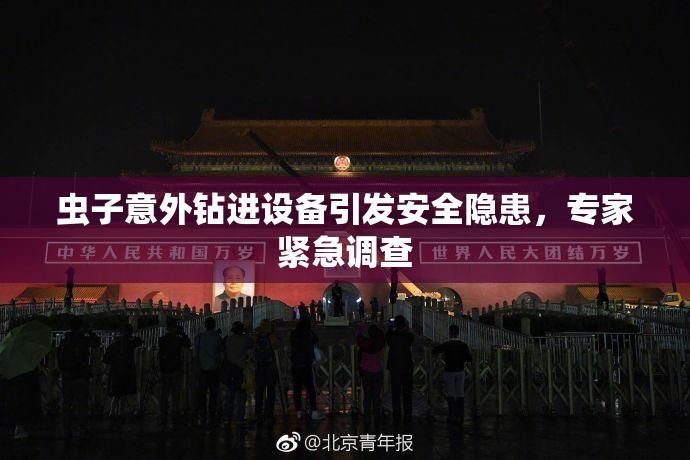 虫子意外钻进设备引发安全隐患，专家紧急调查