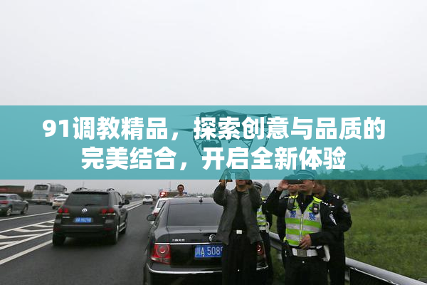 91调教精品，探索创意与品质的完美结合，开启全新体验