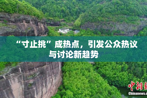 “寸止挑”成热点，引发公众热议与讨论新趋势