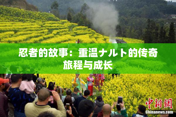 忍者的故事：重温ナルト的传奇旅程与成长