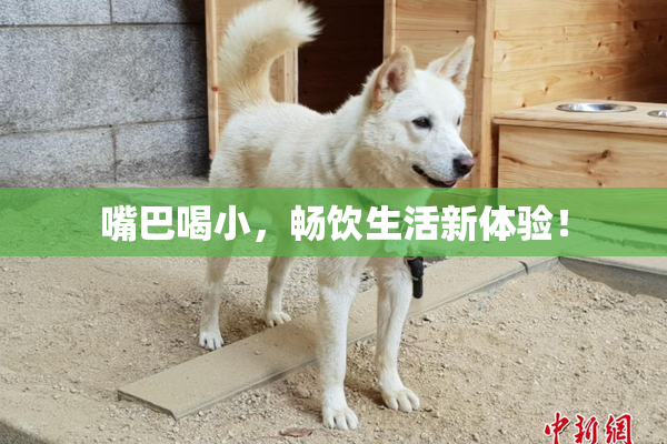 嘴巴喝小，畅饮生活新体验！
