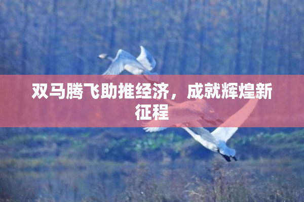 双马腾飞助推经济，成就辉煌新征程