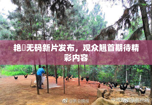 艳鉧无码新片发布，观众翘首期待精彩内容