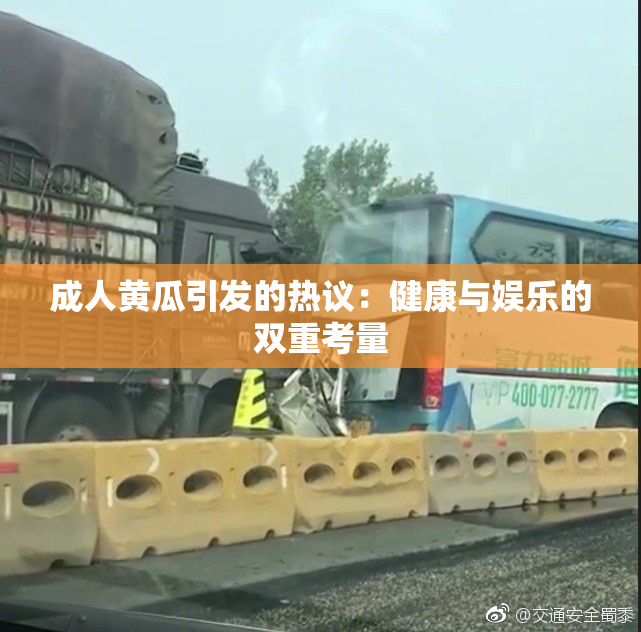 成人黄瓜引发的热议：健康与娱乐的双重考量