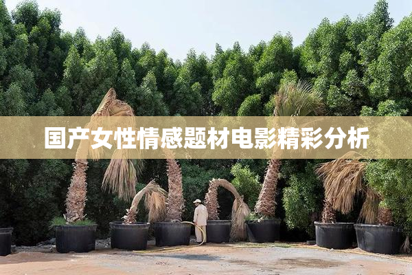 国产女性情感题材电影精彩分析