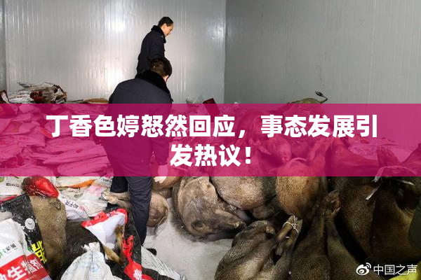 丁香色婷怒然回应，事态发展引发热议！
